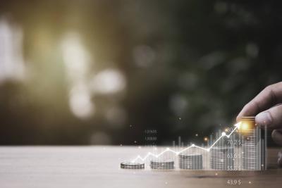 Die Inflationsrate Die Inflationsrate